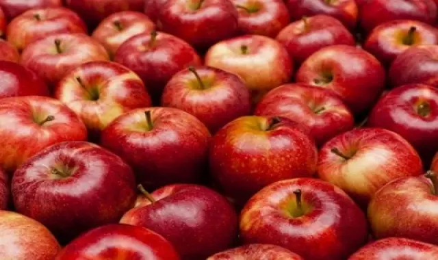 قیمت و خرید سیب قرمز ترش شمال + فروش ارزان