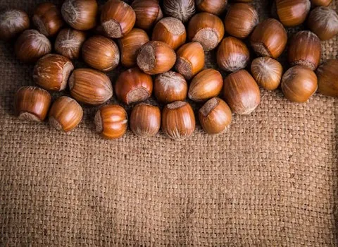 مغز فندق بو داده؛ بافت ترد ماندگاری بالا حاوی فیبر Protein