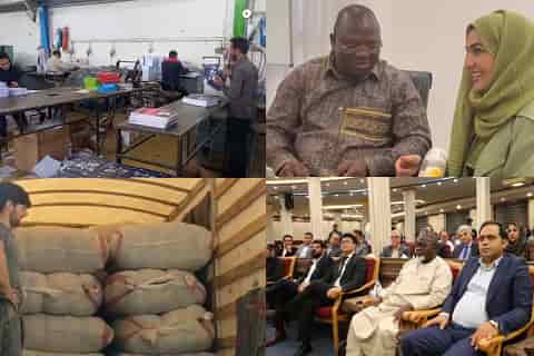 آرادنگاری فیلمی ۳ مهر