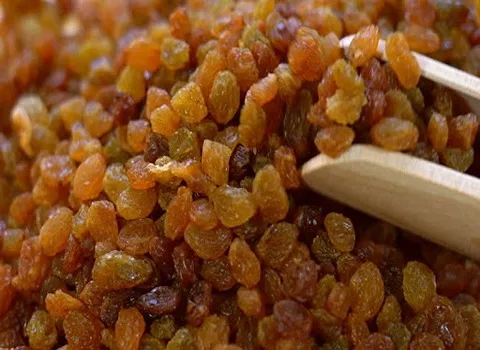 راهنمای خرید کشمش تیزابی درجه یک با شرایط ویژه و قیمت استثنایی