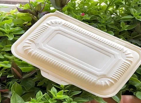 ظروف یکبار مصرف گیاهی در دار؛ پلیمر مسافرتی (12 24 100) عددی