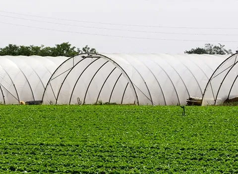 خرید نایلون گلخانه uv + قیمت عالی