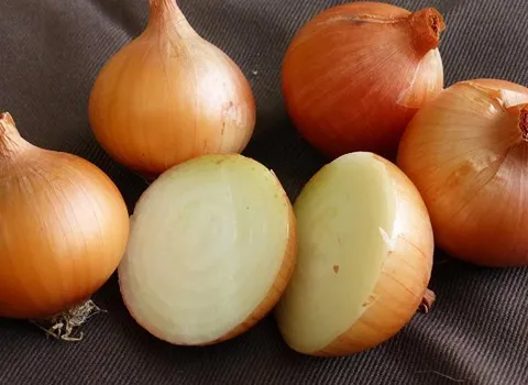 پیاز زرد زرگان؛ ارگانیک طبیعی پوست نازک (قهوه ای طلایی)