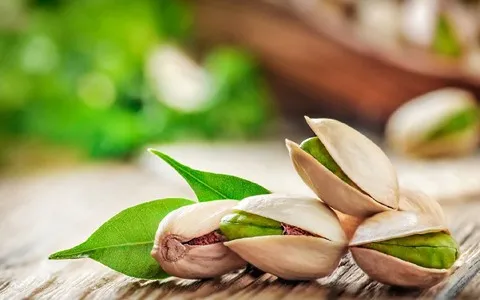 پسته کرمان؛ کله قوچی احمد آقایی اکبری درمان کم خونی دیابت