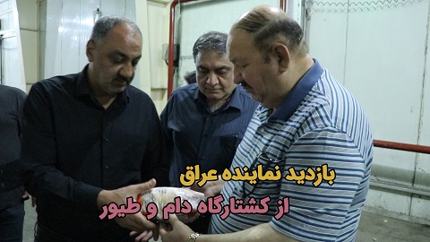 بازدید نماینده عراق به همراه تاجران آرادی ضریب پروموشن ۱۲ از کشتارگاه دام و طیور