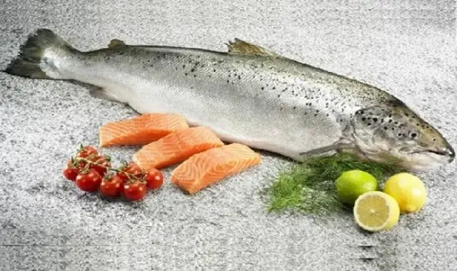 قیمت خرید  + ماهی قزل آلا دریایی عکس