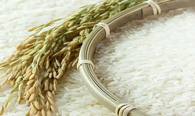 خرید برنج شمال درجه یک + قیمت عالی