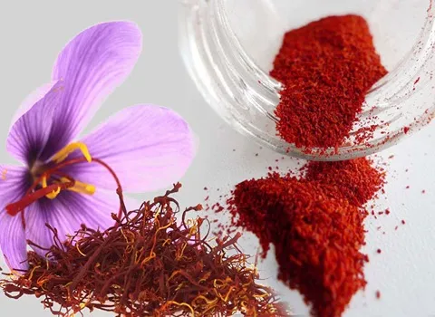 قیمت خرید پودر زعفران خراسان + خواص، معایب و مزایا