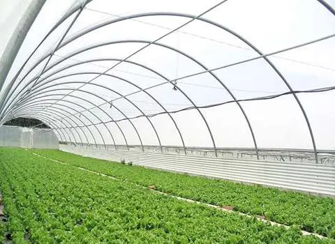 خرید نایلون گلخانه یو وی + قیمت عالی