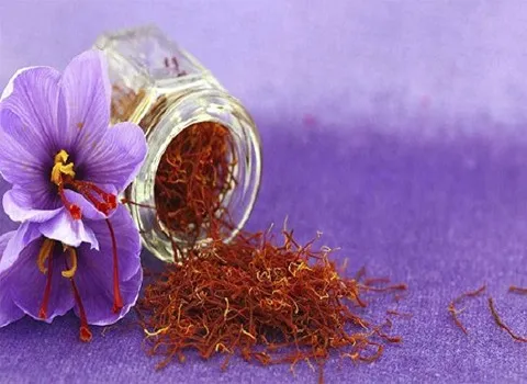 مشخصات زعفران ایرانی صادراتی و نحوه خرید عمده