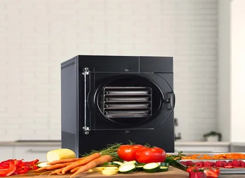 قیمت خرید دستگاه فریزدرایر خانگی + عکس