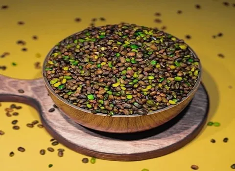 قیمت مغز پسته کوهی درجه یک اعلا با ارزش غذایی فراوان