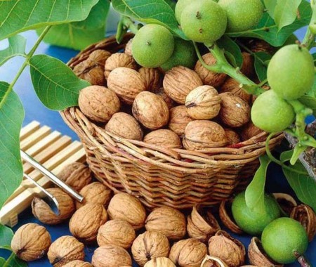 قیمت گردو با پوست سبز 1401