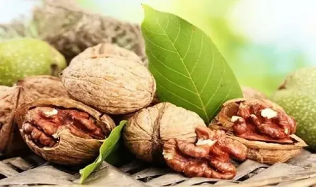 گردو همدان؛ شیرین رنگ روشن تقویت سیستم ایمنی walnut