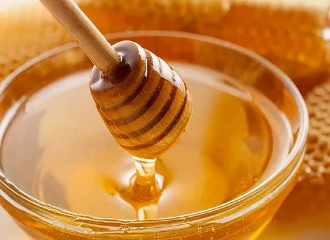 قیمت خرید عسل سبلان با موم + آموزش