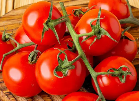 گوجه فرنگی امروز تهران؛ بسته بندی کیلویی حاوی ویتامین (K C)