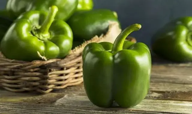 فلفل دلمه ای نر و ماده؛ زرد نارنجی قرمز سبز درمان یبوست قند خون Bell pepper