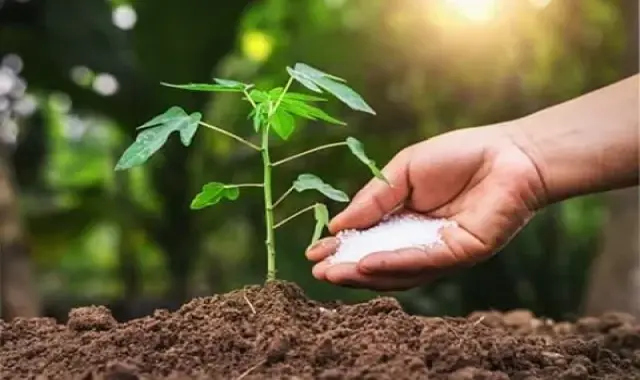 قیمت و خرید کود نانو ارگانیک + فروش ارزان