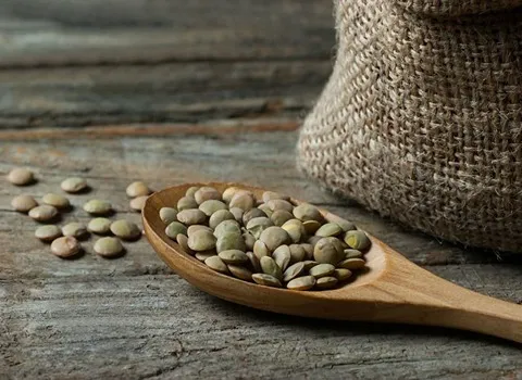 عدس سبز محلی (حبوبات) یکدست حاوی ویتامین B کنترل دیابت هضم غذا