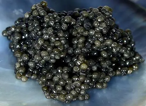 قیمت خرید خاویار الماس بلوگا + تست کیفیت