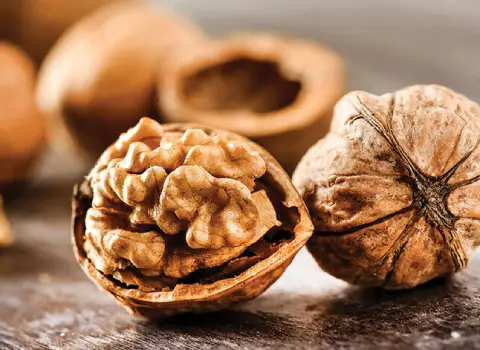 قیمت گردو قزوین