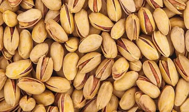 پسته اکبری رفسنجان؛ حاوی ویتامین مواد مغذی کاهش اشتها لاغری