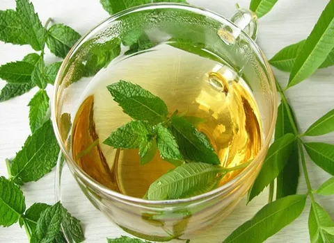 قیمت خرید گیاه دارویی به لیمو + تست کیفیت