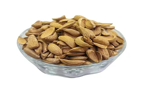 خرید انواع بادام مامایی دیم + قیمت