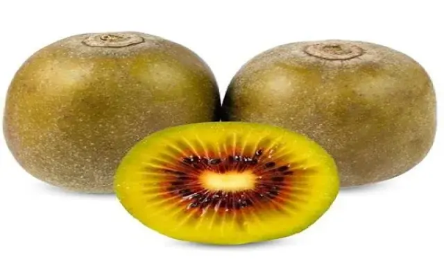 خرید انواع میوه کیوی تو سرخ + قیمت