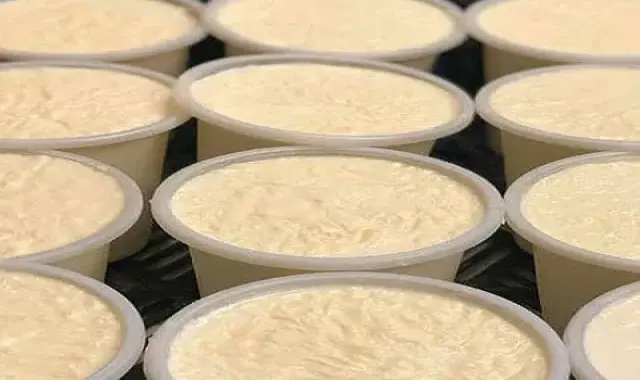 معرفی ماست پرچرب سنتی + بهترین قیمت خرید