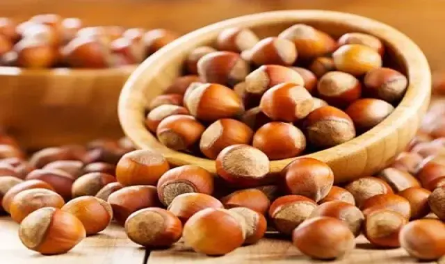 قیمت خرید فندوق اشکورات از تولید به مصرف به صورت عمده و تک فروشی