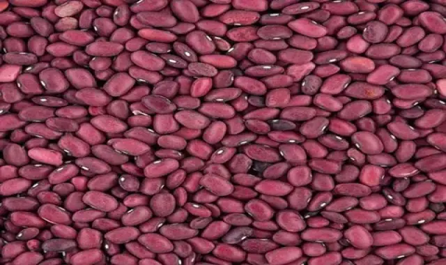 خرید جدیدترین انواع لوبیا قرمز کپسولی