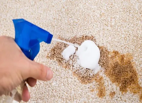 شامپو فرش ضد عفونی کننده؛ عدم حساسیت پوستی رنگ سفید Flower