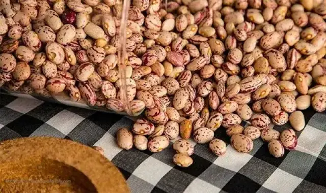 قیمت خرید لوبیا چیتی خشکپاک + مشخصات، عمده ارزان