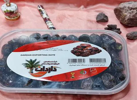 خرید انواع خرما کبکاب داردان + قیمت