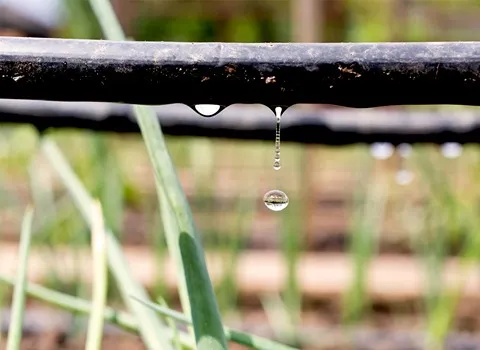 لوله آبیاری قطره ای دریپر (نوار تیپ) جنس پلی اتیلن لی فلت مقاوم