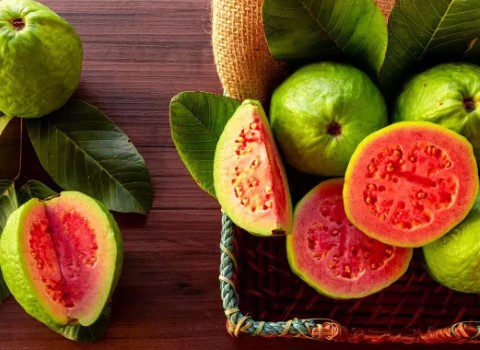 زیتون محلی بندرعباس؛ ترشی شوری سالاد حاوی (آهن کلسیم فیبر)