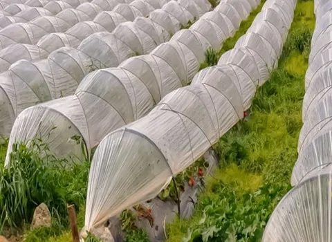 نایلون گلخانه ای پرشین؛ ضد ضربه متراژ (100 200 1000) تولید Iran