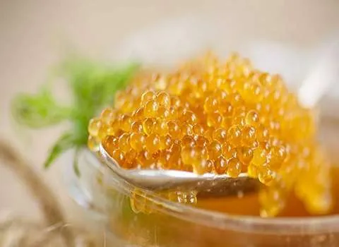 قیمت خاویار طلایی + خرید انواع متنوع خاویار طلایی