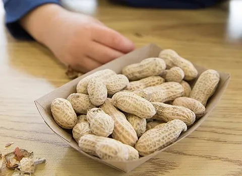 بادام زمینی درجه یک؛ درشت پوست نازک حاوی ویتامین peanut
