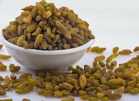 خرید کشمش خشک + کارخانه تولید و عرضه پخش