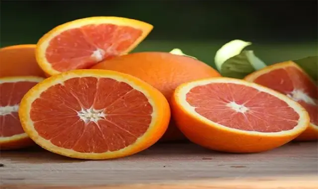 قیمت پرتقال خونی ناول + مشخصات بسته بندی عمده و ارزان