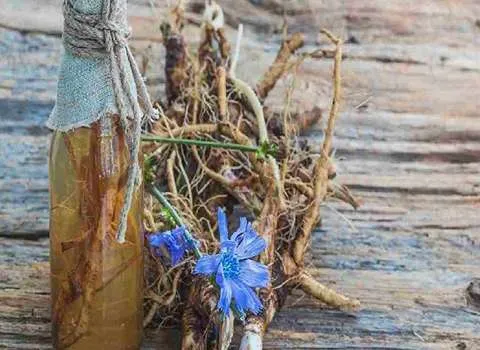 قیمت خرید عرق کاسنی درجه یک + طرز تهیه