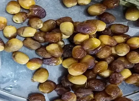 معرفی خرما برحی خوزستان + بهترین قیمت خرید