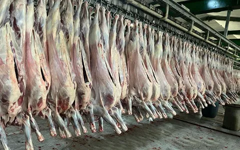 مرجع قیمت انواع گوشت گوسفندی + خرید ارزان