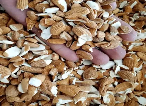 معرفی بادام شکسته مامایی + بهترین قیمت خرید