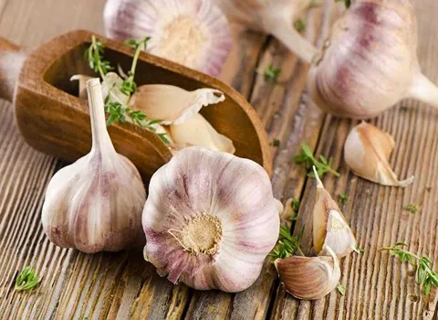 سیر همدان | فروشندگان قیمت مناسب سیر همدان