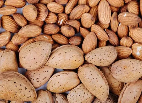 قیمت مغز بادام درختی خام