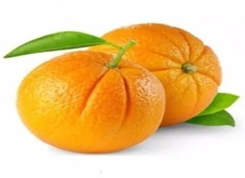 خرید انواع پرتقال تامسون جنوب + قیمت