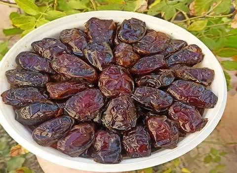 خرما کبکاب تازه؛ مجلسی گرمسیری بیضی شکل حاوی آهن Calcium